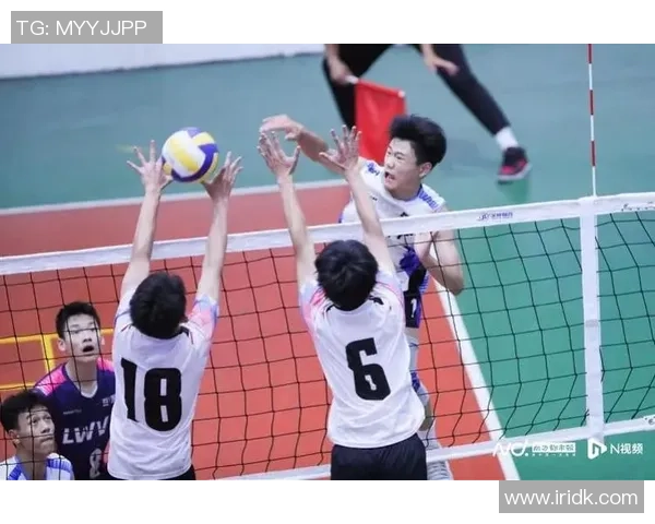 广州排球队迎来速度革命引发热议与期待 广州排球队迎来速度革命引发热议与期待