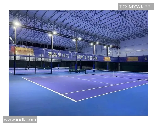 广州网球队快攻战术解析与未来发展展望