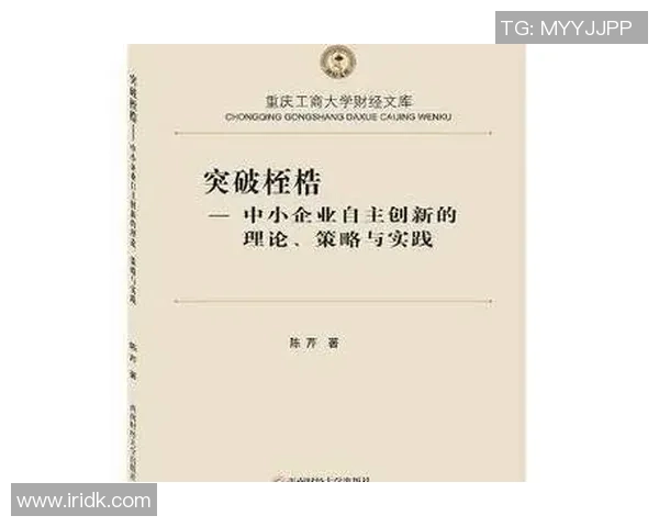 西安篮球队战术解析：构建高效控制体系的策略与实践