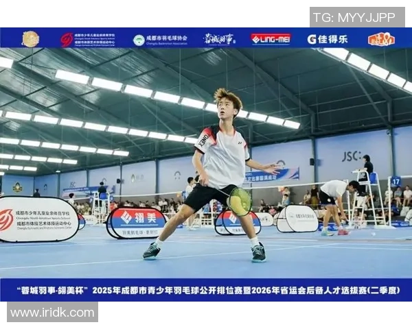 羽毛球状态排行榜揭晓成都羽毛球队荣登第五名位置