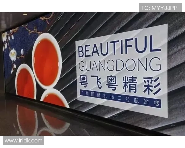 广州乒乓球队运营分析：成就与挑战并存的竞技之路